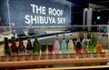 渋谷スカイ（SHIBUYA SKY）の写真_1344905