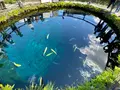 忍野八海の写真_1345992