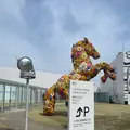 十和田市現代美術館の写真_1348325