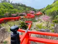 高山稲荷神社の写真_1348340