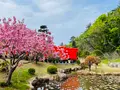 高山稲荷神社の写真_1348342