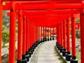 高山稲荷神社の写真_1348344