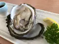 浜ゆうの写真_1348855
