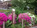 銀閣寺道（バス）の写真_134908