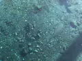 忍野八海の写真_1349134