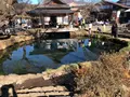 忍野八海の写真_1349135