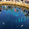 忍野八海の写真_1349136