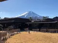 忍野八海の写真_1349137