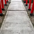 於菊稲荷神社の写真_1356634