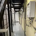 本と玄米カレー ヨスカの写真_1358052