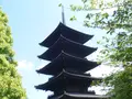 東寺（教王護国寺）の写真_135873