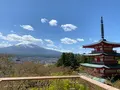 新倉山浅間公園の写真_1359016