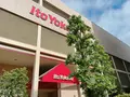 イトーヨーカドー 木場店（深川ギャザリア内）の写真_1359528