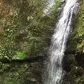 御岳山の写真_1360747