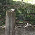 御岳山の写真_1360750