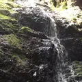 御岳山の写真_1360751