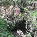 御岳山の写真_1360752