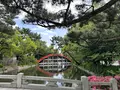 住吉大社の写真_1361228