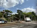 住吉大社の写真_1361230