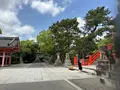 住吉大社の写真_1361239