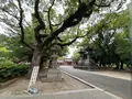 住吉大社の写真_1361249