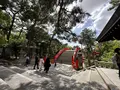住吉大社の写真_1361260