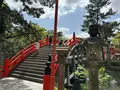 住吉大社の写真_1361262