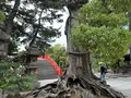住吉大社の写真_1361266