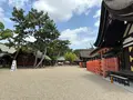 住吉大社の写真_1361274