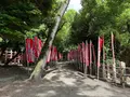 住吉大社の写真_1361283