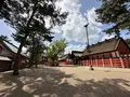住吉大社の写真_1361286