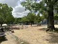 住吉公園の写真_1361325