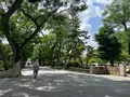 住吉公園の写真_1361331