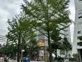 心斎橋オーパの写真_1361601