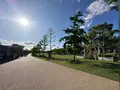 天王寺公園の写真_1362012