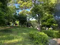 天王寺公園の写真_1362026