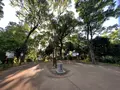 天王寺公園の写真_1362027