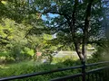 天王寺公園の写真_1362029
