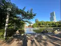 天王寺公園の写真_1362030