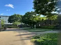 天王寺公園の写真_1362031