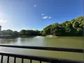 天王寺公園の写真_1362034