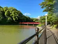 天王寺公園の写真_1362035