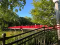 天王寺公園の写真_1362036