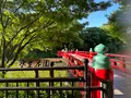 天王寺公園の写真_1362037