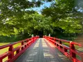 天王寺公園の写真_1362038