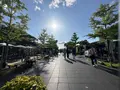 てんしばの写真_1362049