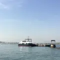 猿島の写真_1363090