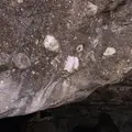 猿島の写真_1363093