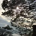 猿島の写真_1363097
