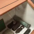 猿島の写真_1363098